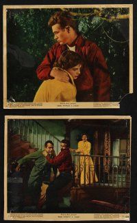 8r234 REBEL WITHOUT A CAUSE 2 color 8x10 stills '55 Nicholas Ray, James Dean, Natalie Wood, Backus!
