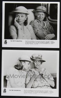 8r979 TRIP TO BOUNTIFUL 2 8x10 stills '85 Best Actress winner Geraldine Page, Rebecca De Mornay