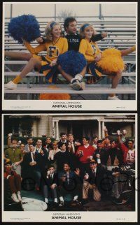 8r191 ANIMAL HOUSE 4 8x10 mini LCs '78 John Belushi, Tim Matheson, top cast by frat house!