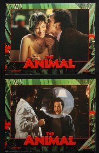 8r047 ANIMAL 8 8x10 mini LCs '01 Rob Schneider, not much of a man or animal!