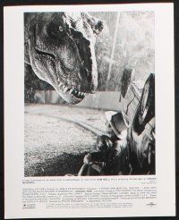 8r591 JURASSIC PARK 6 8x10 stills '93 Steven Spielberg, Sam Neill, Attenborough, Dern, T-Rex!