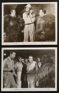 8r296 MARK OF THE GORILLA 16 8x10 stills '50 Johnny Weissmuller as explorer Jungle Jim, Marshall!