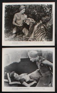 8r315 MYSTERY OF THE BLACK JUNGLE 15 8x10 stills '55 Lex Barker in India, cool tiger image!