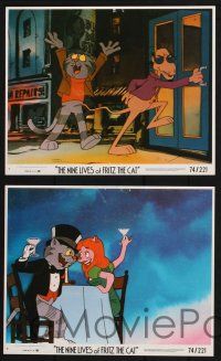 8r185 NINE LIVES OF FRITZ THE CAT 5 8x10 mini LCs '74 AIP, Robert Crumb, feline cartoon images