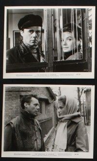 8r381 PASSWORD IS COURAGE 11 8x10.25 stills '63 Dirk Bogarde in English version of The Great Escape!