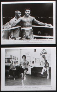 8r326 ROCKY II 14 8x10 stills '79 Sylvester Stallone, Talia Shire, Meredith, Weathers, boxing!