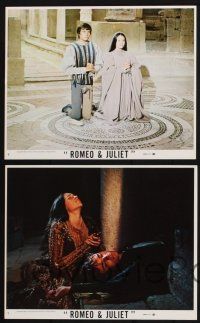 8r188 ROMEO & JULIET 5 8x10 mini LCs '69 Franco Zeffirelli, Leonard Whiting & Olivia Hussey!