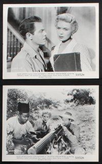 8r247 ROYAL AFRICAN RIFLES 26 8x10 stills '53 Louis Hayward & Veronica Hurst on the Dark Continent!