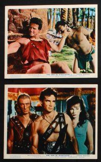 8r083 SLAVE 8 color English FOH LCs '62 Il Figlio di Spartacus, Steve Reeves the son of Spartacus!
