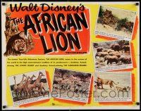 8s016 AFRICAN LION 1/2sh '55 Walt Disney jungle safari documentary, cool wildlife animal images!