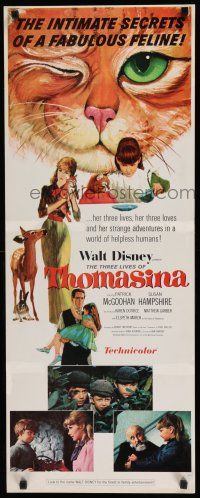 8s814 THREE LIVES OF THOMASINA insert '64 Walt Disney, great art of winking & smiling cat!