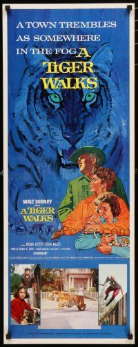 8s815 TIGER WALKS insert '64 Walt Disney, art of Brian Keith & huge prowling tiger!
