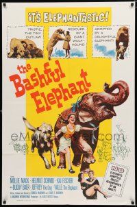 8x075 BASHFUL ELEPHANT 1sh '62 Buddy Baer, Mollie Mack, animal friends!