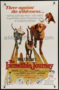 8x424 INCREDIBLE JOURNEY 1sh '63 Disney, art of Bull Terrier, Siamese cat & Labrador Retriever!