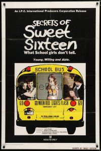 8x742 SECRETS OF SWEET SIXTEEN 1sh '74 what young, willing and able school girls don't tell!