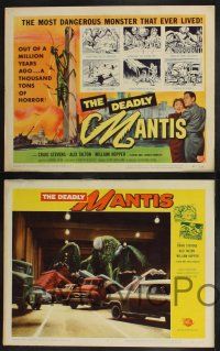 8y167 DEADLY MANTIS 8 LCs '57 Craig Stevens, William Hopper, Alix Talton, Universal sci-fi horror!