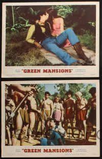 8y798 GREEN MANSIONS 5 LCs '59 gorgeous Audrey Hepburn, Anthony Perkins, Lee J. Cobb!