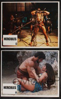 8y275 HERCULES 8 LCs '83 Lou Ferrigno as the strongest man in the world, sexy Sybil Danning!