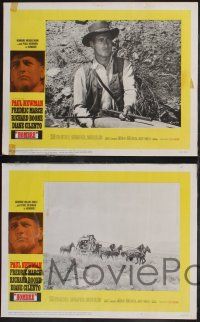 8y283 HOMBRE 8 LCs '66 Paul Newman, Richard Boone, Fredric March, Diane Cilento!