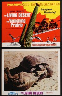 8y028 LIVING DESERT/VANISHING PRAIRIE 9 LCs '71 great images from Walt Disney wildlife double-bill!