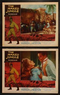 8y442 NAKED JUNGLE 8 LCs R60 Charlton Heston & Eleanor Parker, produced by George Pal!