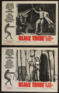 8y938 SLAVE TRADE IN THE WORLD TODAY 3 LCs '65 the smuggled motion pictures of a sheik's harem!