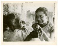 9a693 PATHER PANCHALI 8x10.25 still '58 Satyajit Ray classic, early Bollywood!