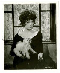 9a805 SHIRLEY MACLAINE 8.25x10 still '63 great close up with cute dog from Irma La Douce!