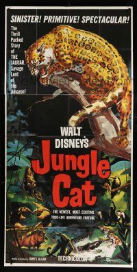 9d687 JUNGLE CAT 3sh '60 Disney, great artwork of jaguar, savage lord of the Amazon!