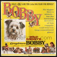 9d189 GREYFRIARS BOBBY 6sh '61 Walt Disney, huge close up art of cute tiny Skye Terrier!
