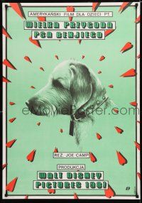 9k483 BENJI THE HUNTED Polish 27x38 '89 Skorwider art of classic Disney Border Terrier!