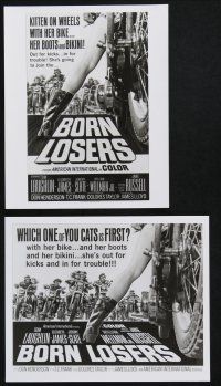 9p934 BORN LOSERS 2 8x10 stills '67 Tom Laughlin, Billy Jack, great poster images!