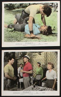 9p150 BENEATH THE 12-MILE REEF 7 color 8x10 stills '53 Robert Wagner, Terry Moore, Gilbert Roland!