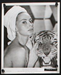 9p730 DECLINE & FALL OF A BIRD WATCHER 5 8x10 stills '69 sexy Genevieve Page with tiger skin, cast!
