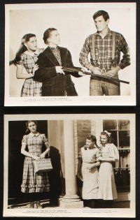 9p647 GIRL OF THE LIMBERLOST 7 8x10 stills '45 Ruth Nelson, the beauty of a young girl's love!