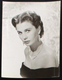 9p577 JEAN SIMMONS 8 8x10 stills '50s-60s great portraits of the gorgeous English star!