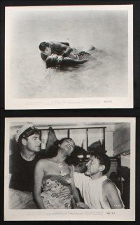 9p408 MANFISH 14 8x10 stills '56 Lon Chaney Jr., John Bromfield, cool ocean scuba diving images!