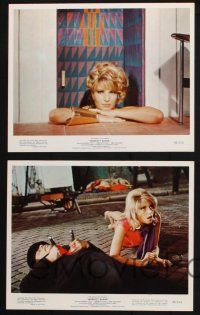 9p217 MODESTY BLAISE 4 color 8x10 stills '66 Joseph Losey, sexiest female secret agent Monica Vitti