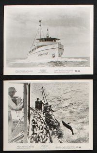 9p289 NAKED SEA 23 8x10 stills '55 cool images of fishermen at sea catching big fish & sharks!