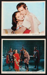 9p076 SILVER CHALICE 8 color 8x10 stills '55 Pier Angeli, Mayo & Paul Newman in his first movie!