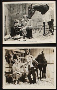 9p902 STABLEMATES 3 8x10 stills '38 great images of Wallace Beery, Mickey Rooney & race horse!