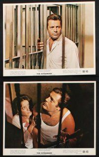 9p015 STRANGER 12 color 8x10 stills '68 Luchino Visconti's Lo Straniero, Marcello Mastroianni!