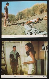9p101 SUMMER OF '42 8 8x10 mini LCs '71 sexy Jennifer O'Neill, Gary Grimes, coming of age classic!