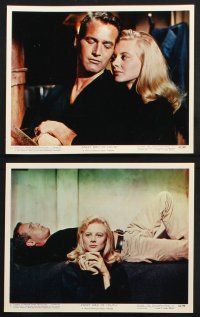 9p020 SWEET BIRD OF YOUTH 12 color 8x10 stills '62 Paul Newman, Geraldine Page, Shirley Knight!