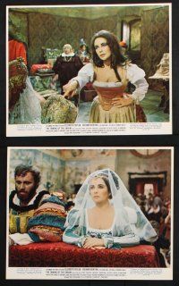 9p023 TAMING OF THE SHREW 12 color 8x10 stills '67 Elizabeth Taylor & Richard Burton, Zeffirelli!