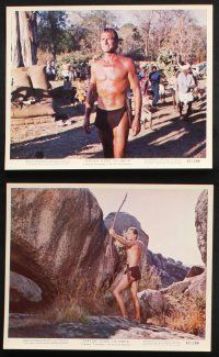 9p025 TARZAN GOES TO INDIA 12 color 8x10 stills '62 Jock Mahoney as the King of the Jungle!