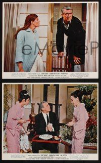 9p243 WALK DON'T RUN 3 color 8x10 stills '66 Cary Grant with geishas and sexy Samantha Eggar!