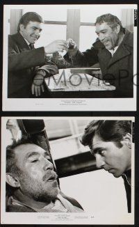 9p918 ZORBA THE GREEK 3 8x10 stills '65 Anthony Quinn & Alan Bates, directed by Michael Cacoyannis!