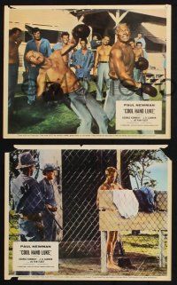 9p233 COOL HAND LUKE 3 color English FOH LCs '67 Paul Newman as Lucas Jackson, George Kennedy!