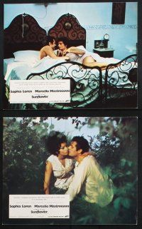 9p106 SUNFLOWER 8 color English FOH LCs '70 De Sica's I Girasoli, Sophia Loren, Mastroianni!